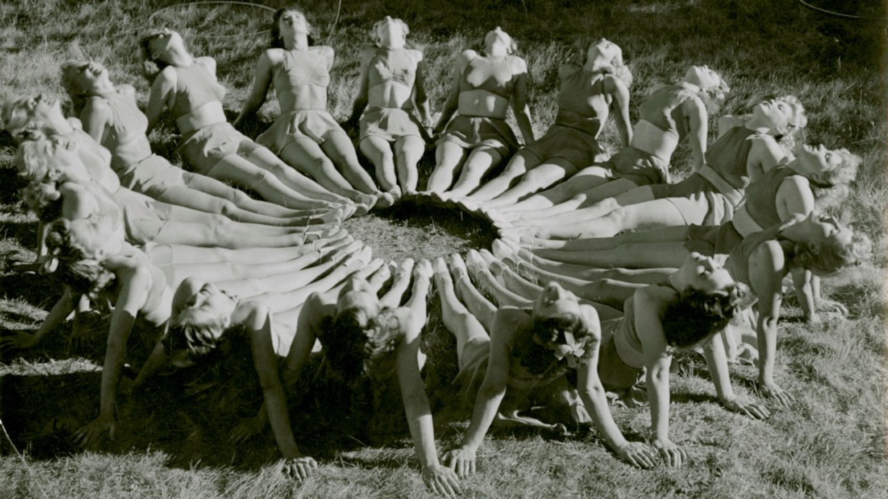 Females At Play