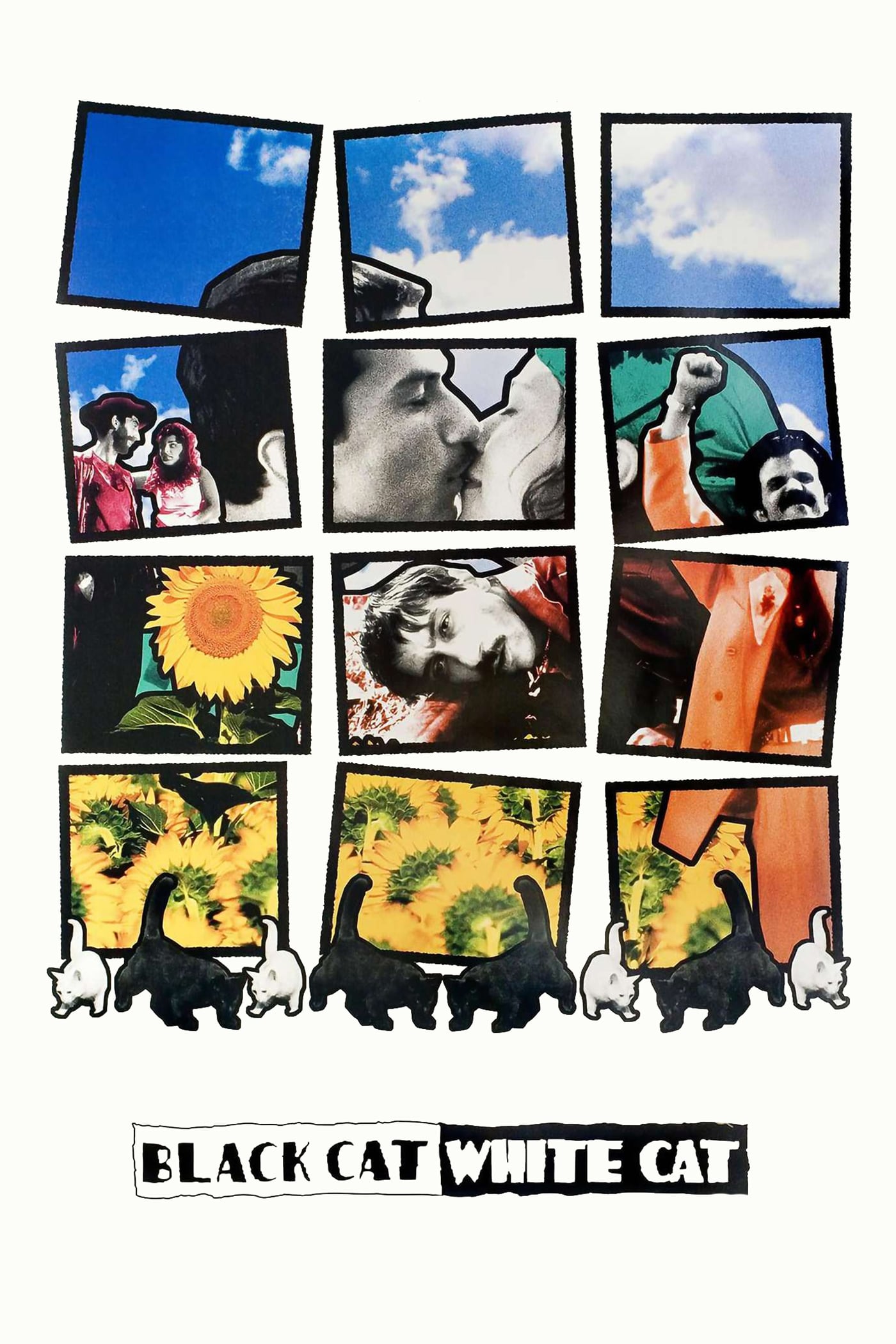 Black Cat, White Cat poster