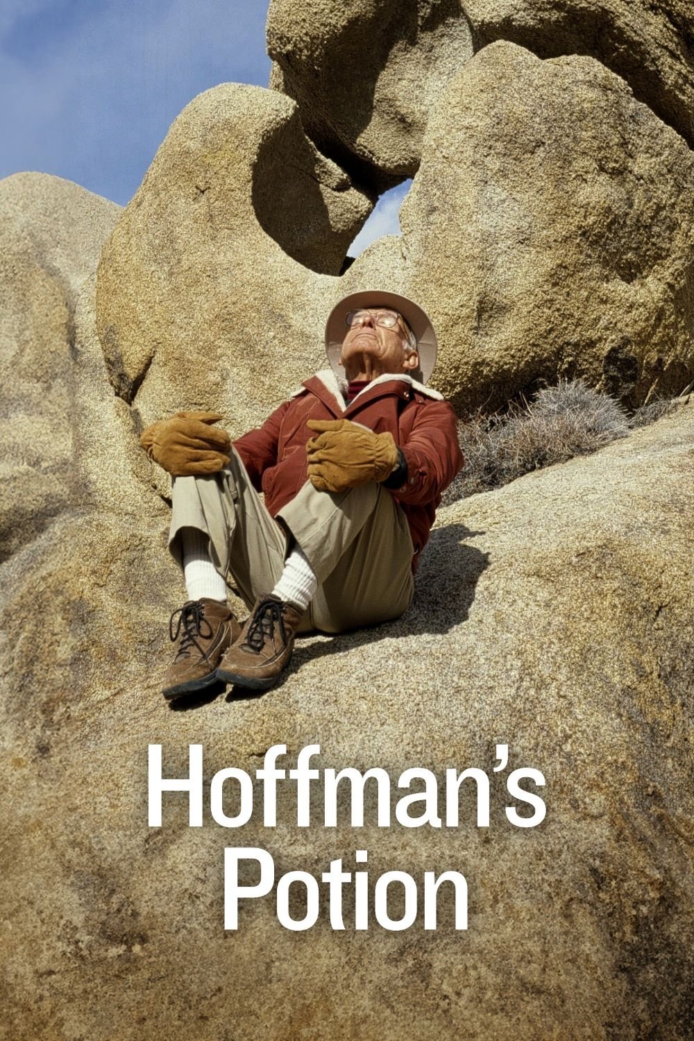 Hofmann's Potion: The Pioneers of LSD poster