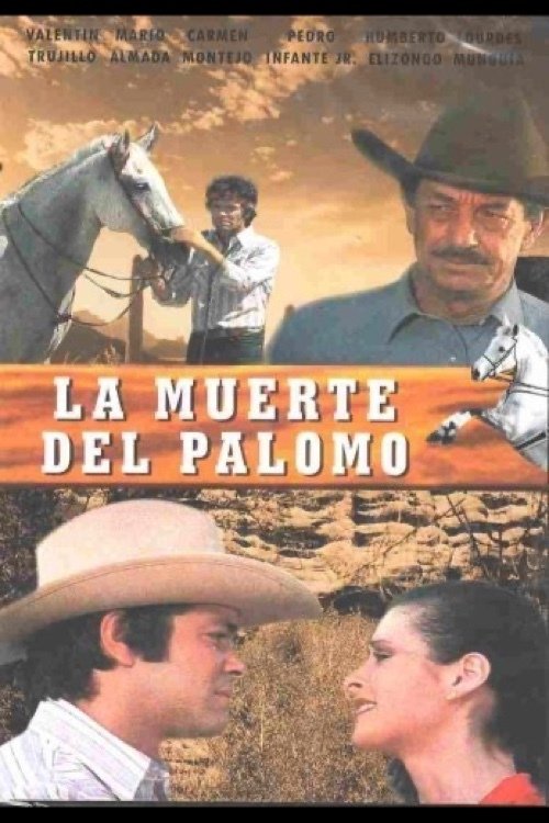 The Death of a Stallion poster